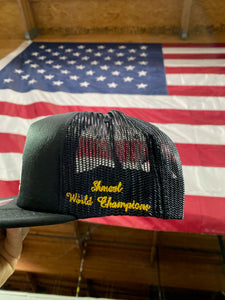 LA World Champions Hat